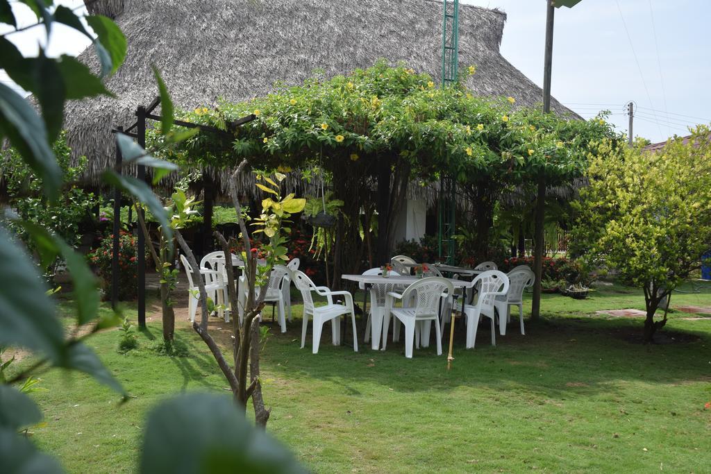 Palomino Breeze Hostal Eksteriør billede