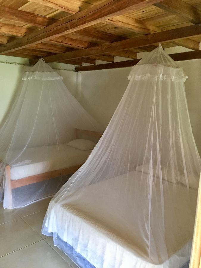 Palomino Breeze Hostal Eksteriør billede